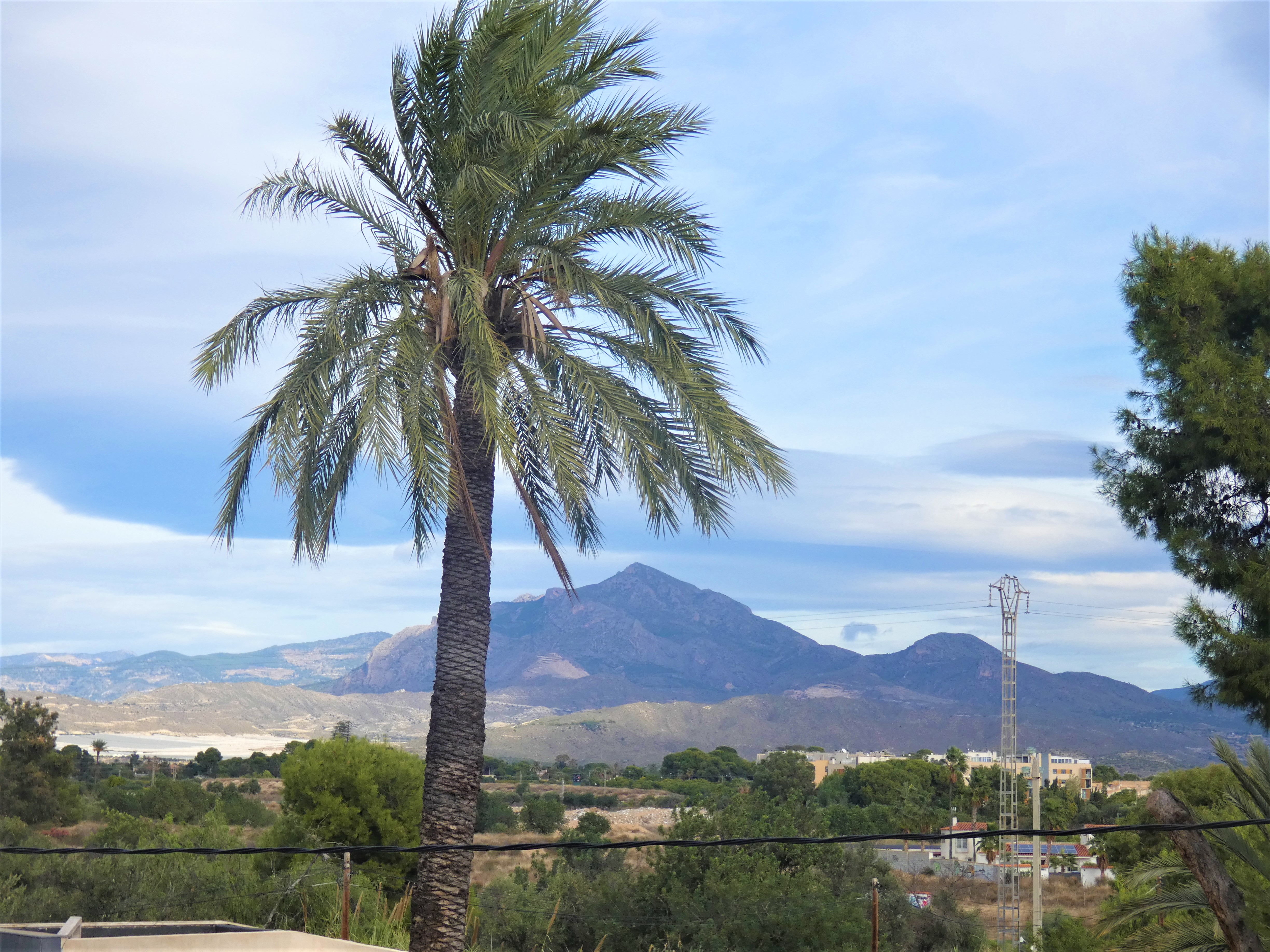 Apartment with beautiful views close to Playa San Juan